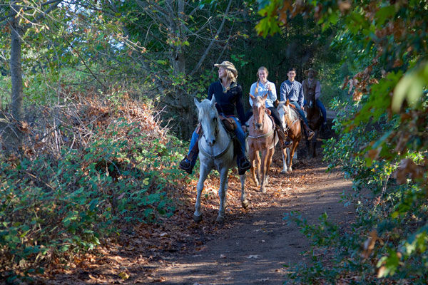 Sonoma County Horseback Riding