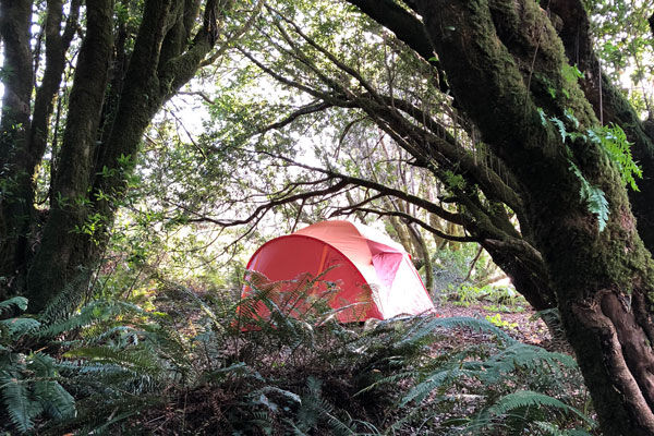 Sonoma County Camping