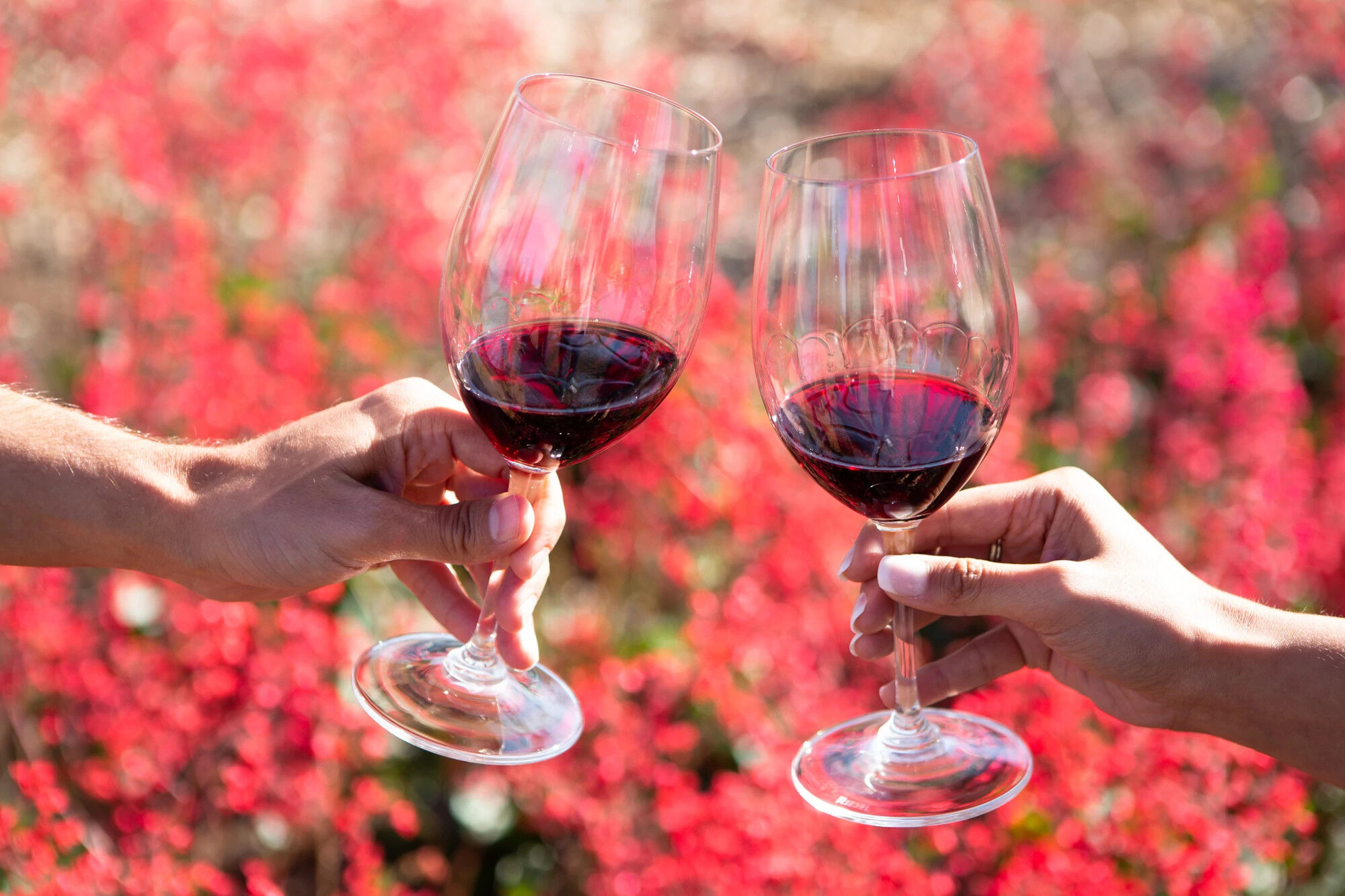 Estates Collection Anderson Valley Pinot Noir